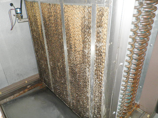 気化式　加湿器エレメント交換画像